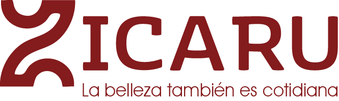 Zicaru · SANDBOX logo